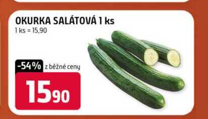 OKURKA SALÁTOVÁ 1 ks