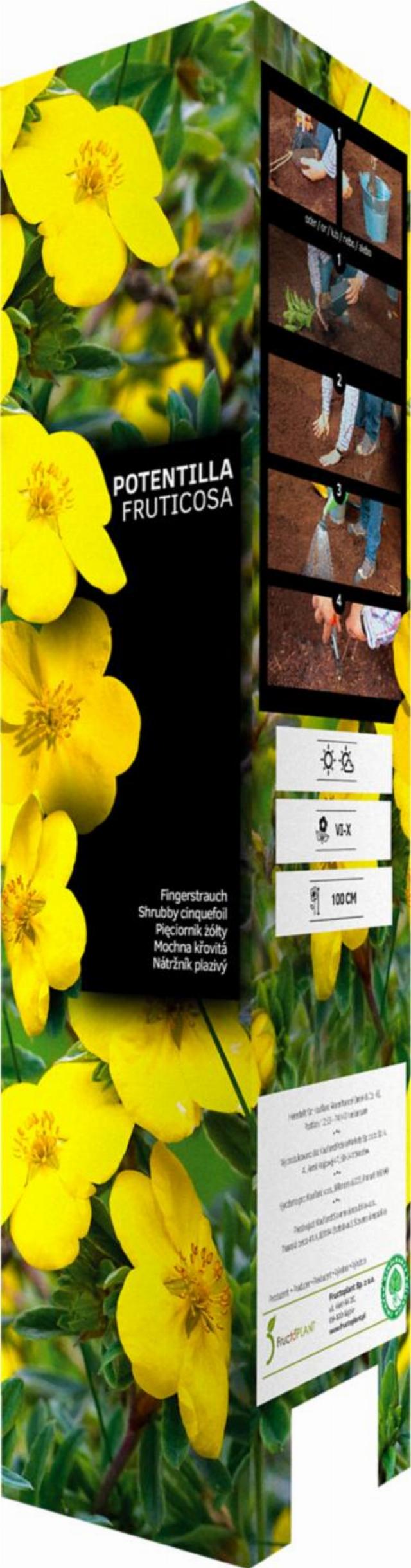 Okrasné dřeviny tamaryšek, mochna, ibišek a další druhy