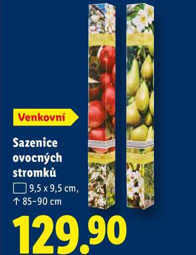 Sazenice ovocných stromků