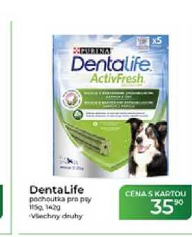 PURINA Dentalife pochoutka pro psy 