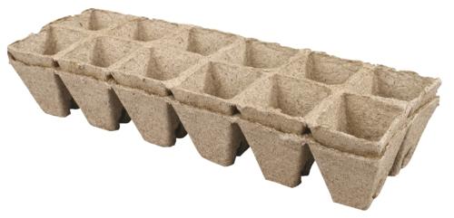 Předpěstovací program, 1 KS