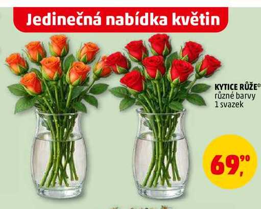 KYTICE RŮŽE, 1 svazek 