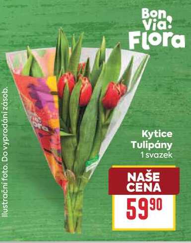 Flora Kytice Tulipány 1 svazek