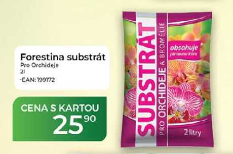 Forestina substrát Pro Orchideje 2 l