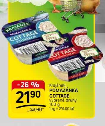 POMAZÁNKA COTTAGE vybrané druhy 100 g