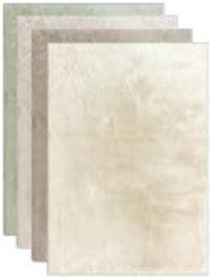 9: Koberec Lhasa s vysokým vlasem