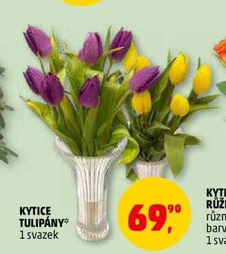 KYTICE TULIPÁNY, 1 svazek 