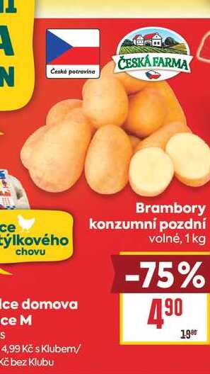 Brambory konzumní pozdní volné, 1 kg 