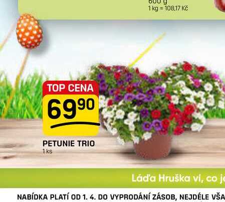 PETUNIE TRIO 1 ks