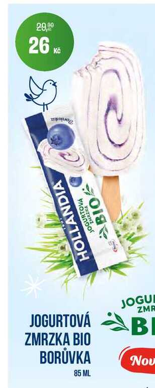 HOLLANDIA JOGURTOVÁ ZMRZKA BIO BORŮVKA 85 ML