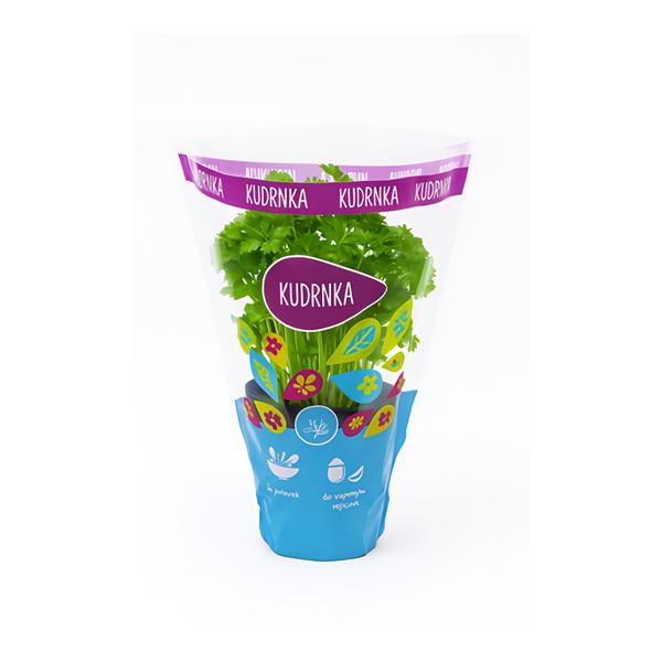 Petržel kadeřavá květináč "13 cm”