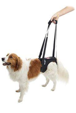 Postroj zvedací Rehab na zadní nohy XL Kruuse