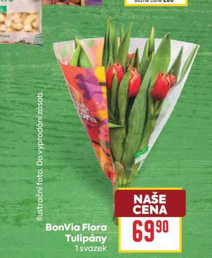 BonVia Flora Tulipány 1 svazek