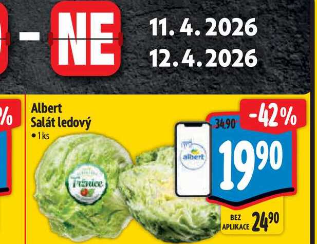 Albert Salát ledový 1ks
