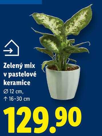 Zelený mix v pastelové keramice 