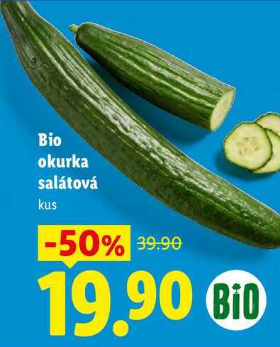 Bio okurka salátová, 1 ks