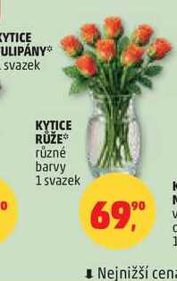 KYTICE RUŽE, 1 svazek 