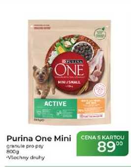 Purina One Mini granule pro psy 800g