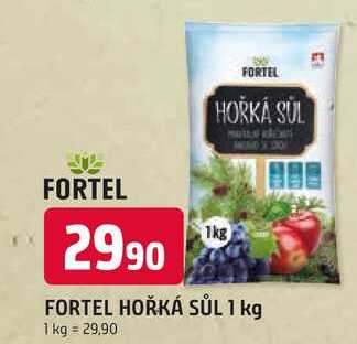FORTEL HOŘKÁ SŮL 1 kg