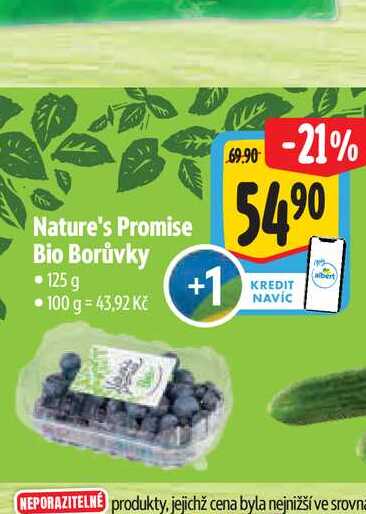 Nature's Promise Bio Borůvky  125 g 