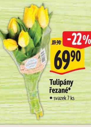 Tulipány řezané svazek 7 ks