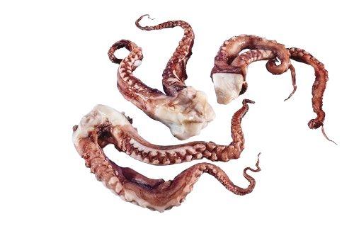 Kalamáry chapadla, 1 kg