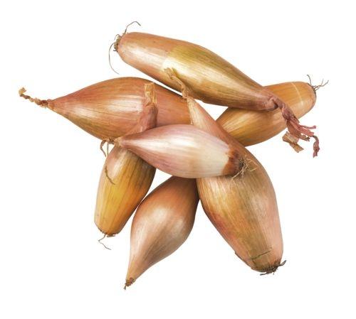 Cibule šalotka, 500 g