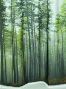 Sprchové závěsy AVESTA