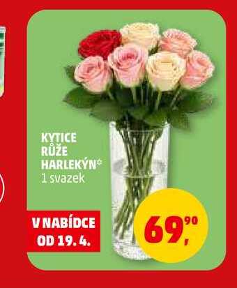 KYTICE RŮŽE HARLEKÝN, 1 svazek