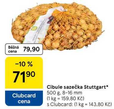 Cibule sazečka Stuttgart, 500 g. 8-16 mm