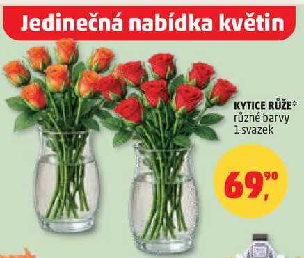 KYTICE RŮŽE, 1 svazek