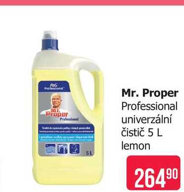 Mr. Proper Professional univerzální čistič 5 L
