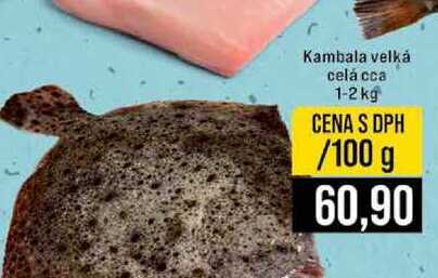 Kambala velká celá cca 1-2 kg 100g