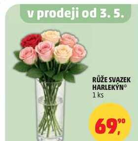 RŮŽE SVAZEK HARLEKÝN, 1 ks 