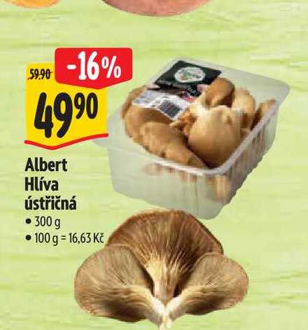   Albert Hlíva ústřičná  300 g 