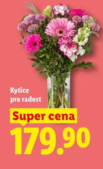 Kytice pro radost 