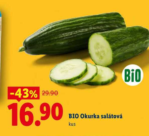 BIO Okurka salátová, 1 ks