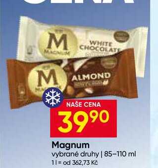 Magnum vybrané druhy 85-110 ml