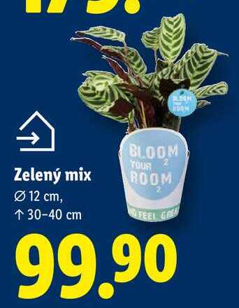 Zelený mix 