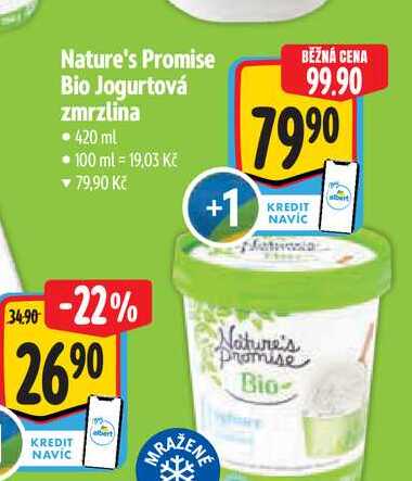 Nature's Promise Bio Jogurtová zmrzlina 420 ml