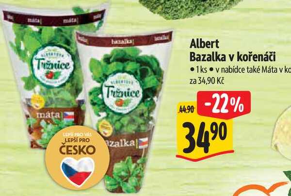 Albert Bazalka v kořenáči 1 ks