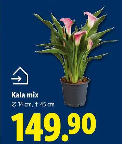 Kala mix 
