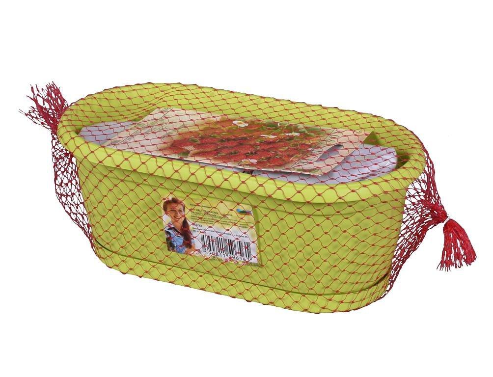 Truhlík Malý zahradník, 1 KS