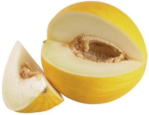 Meloun cukrový žlutý , 1 kg
