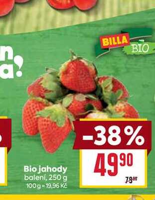 Bio jahody balení, 250 g