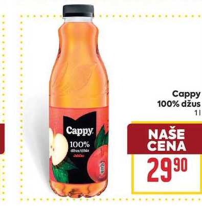 Cappy 100% džus 1l