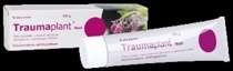 Traumaplant mast