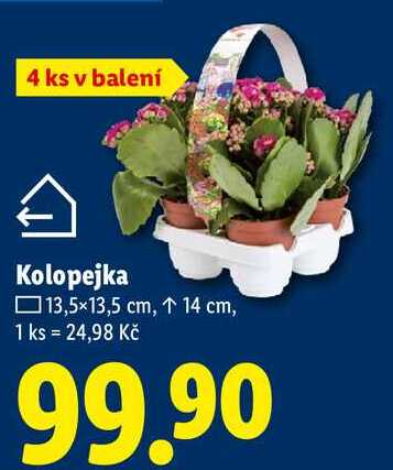 Kolopejka, 4 ks