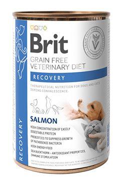 Brit VD Dog Cat Gf konzerva Recovery 400g