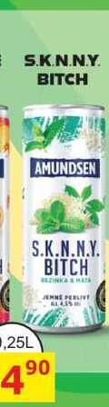 S.K.N.N.Y BITCH AMUNDSEN 0,25l míchaný nápoj